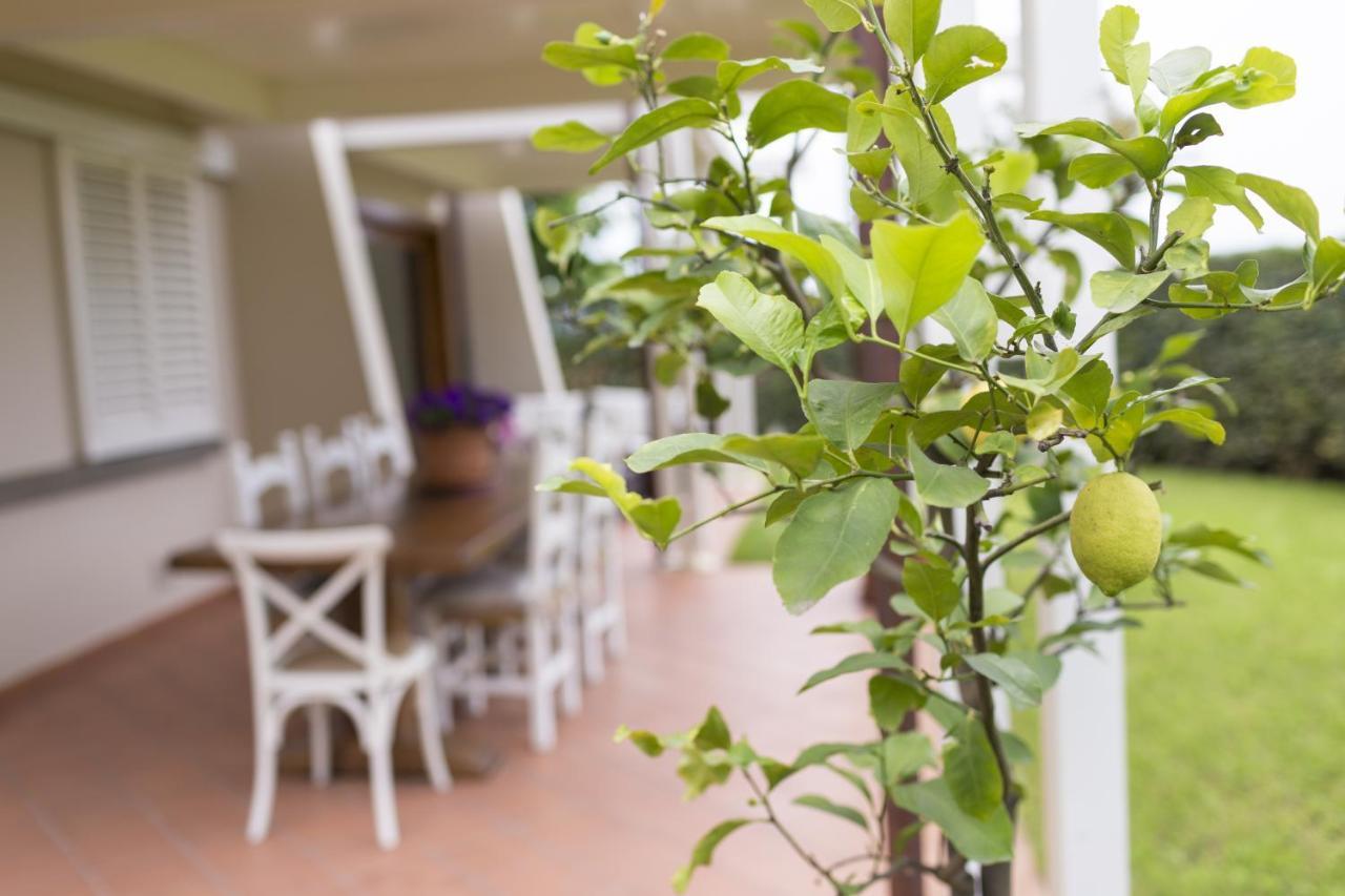 B&B Cava Rossa Monsummano Terme Eksteriør billede